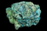 Botryoidal Chrysocolla and Malachite - Congo #69798-1